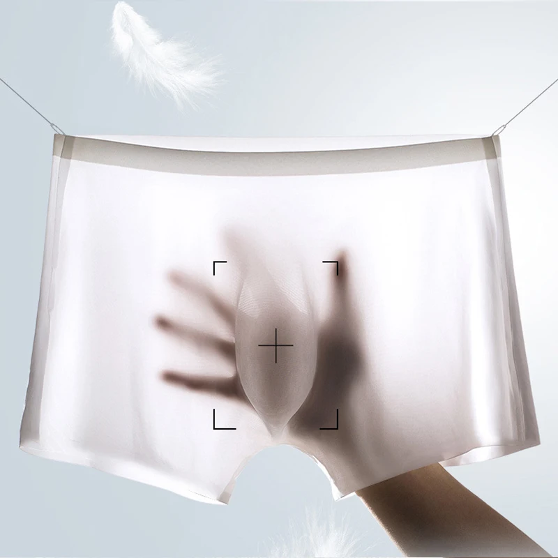 10 ピース/ロットメンズ夏のアイスシルクボクサーブリーフシ - Multi Pack Underwear のレビューと価格