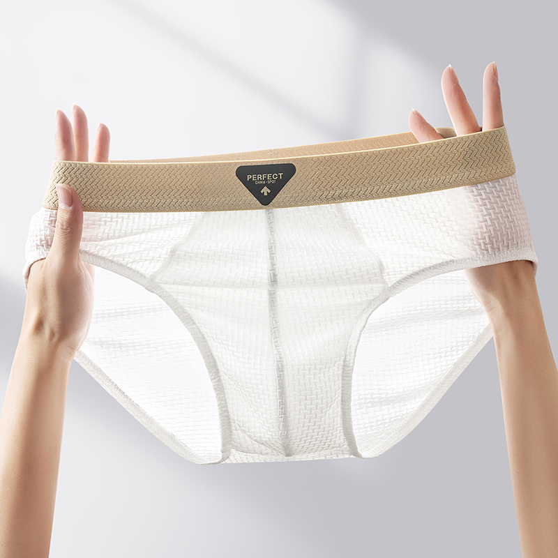 1 個ブリーフ男性下着セクシーなランジェリー男性パンティーナ - Multi Pack Underwear のレビューと価格